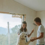 Хаотичная игра The Dog House как пример творческого беспорядка