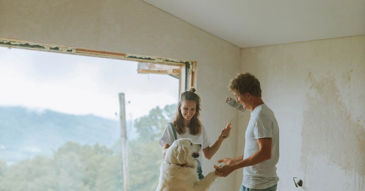 Хаотичная игра The Dog House как пример творческого беспорядка